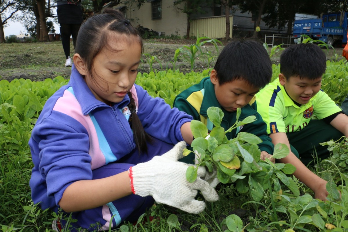 小學童種菜分享收穫　街頭叫賣愛心捐助弱勢