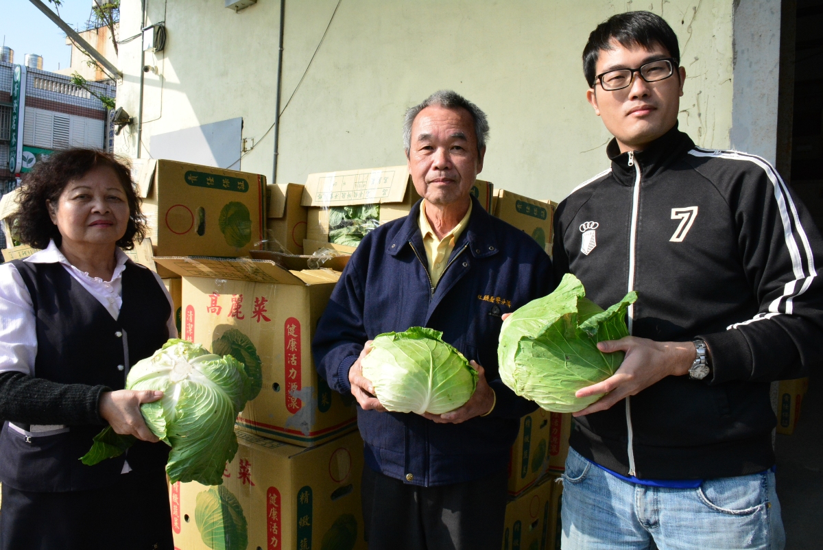 高麗菜產銷失衡　彰縣府訂購發送社福團體