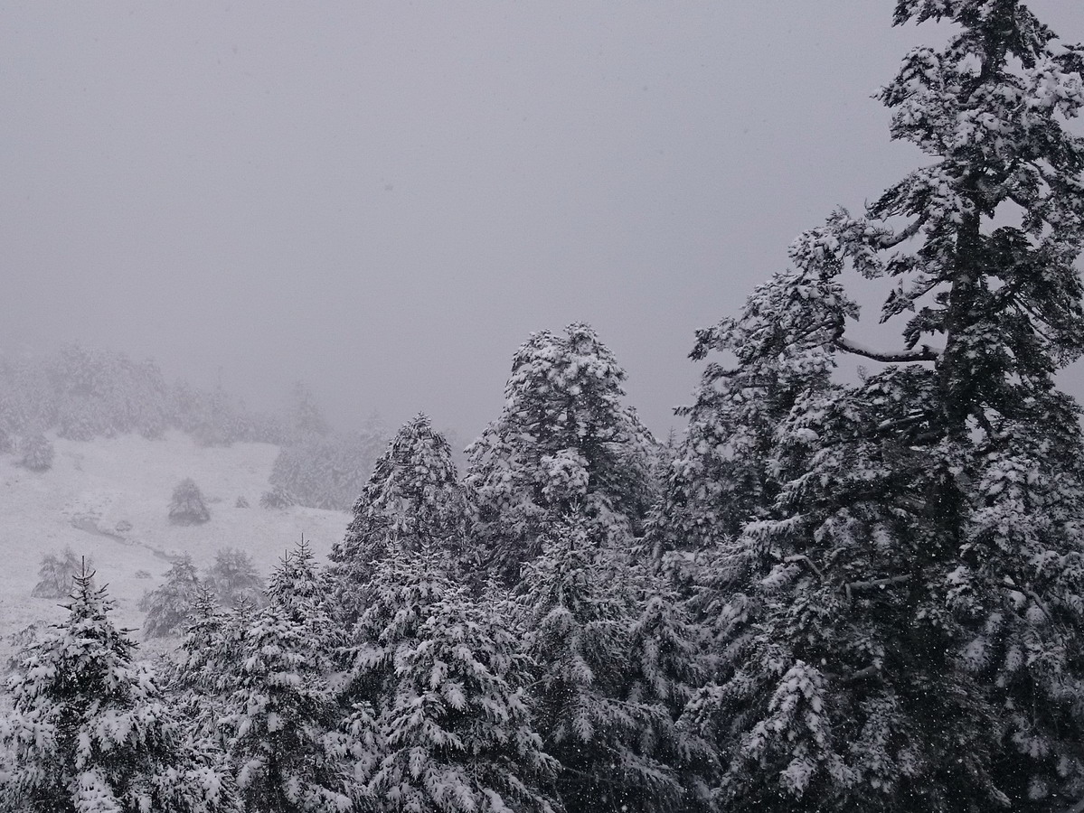 多處中高海拔山區下雪　平地也下霰