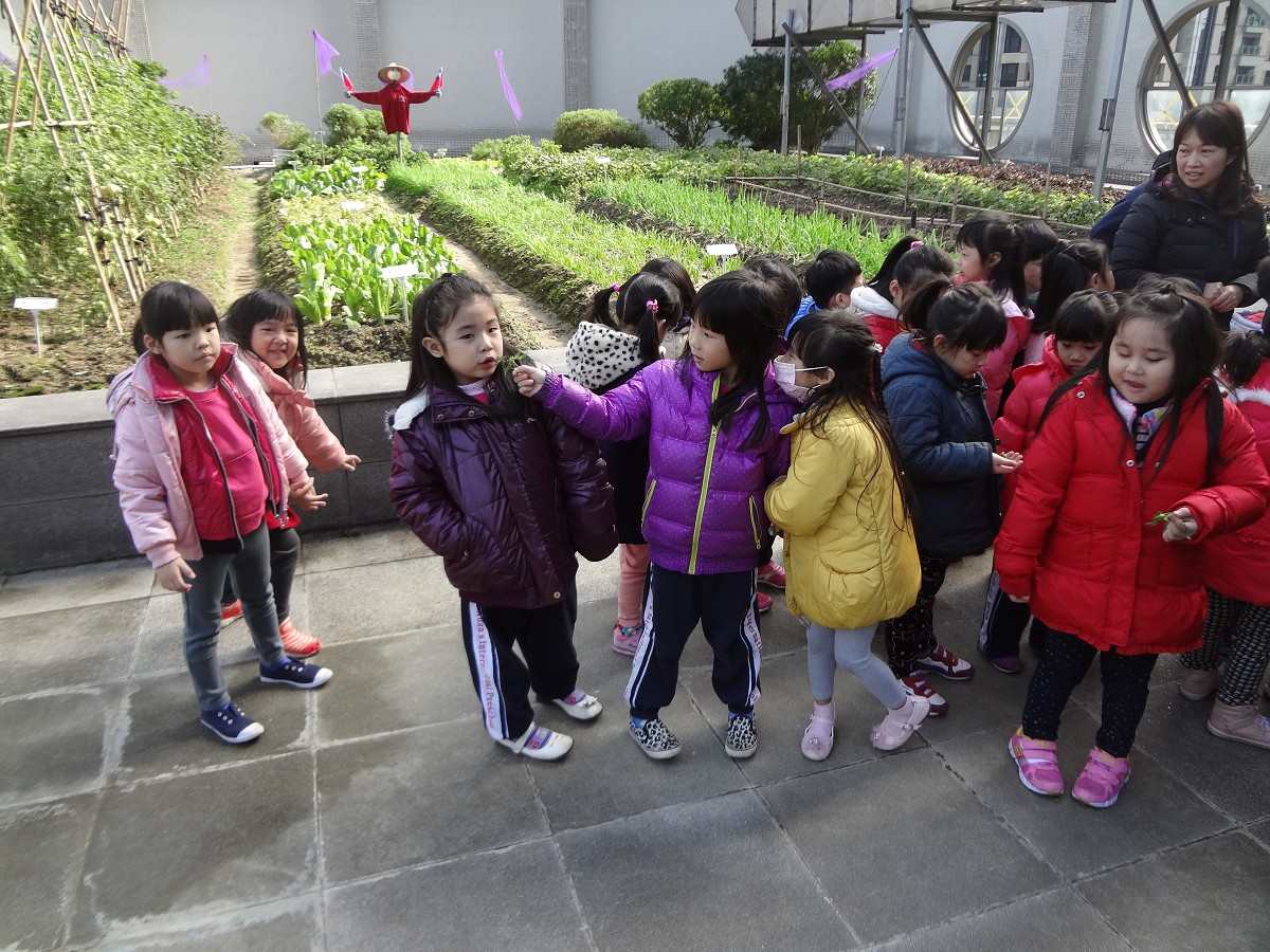 新北市府大樓也可以種菜　幼兒參訪可食地景區