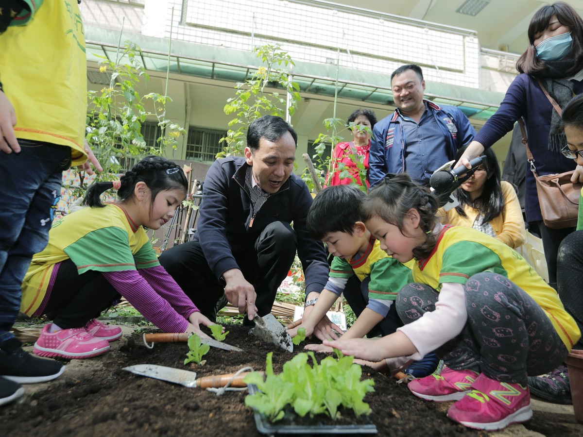 校園農場體驗　朱立倫陪同幼兒拔菜吃湯圓