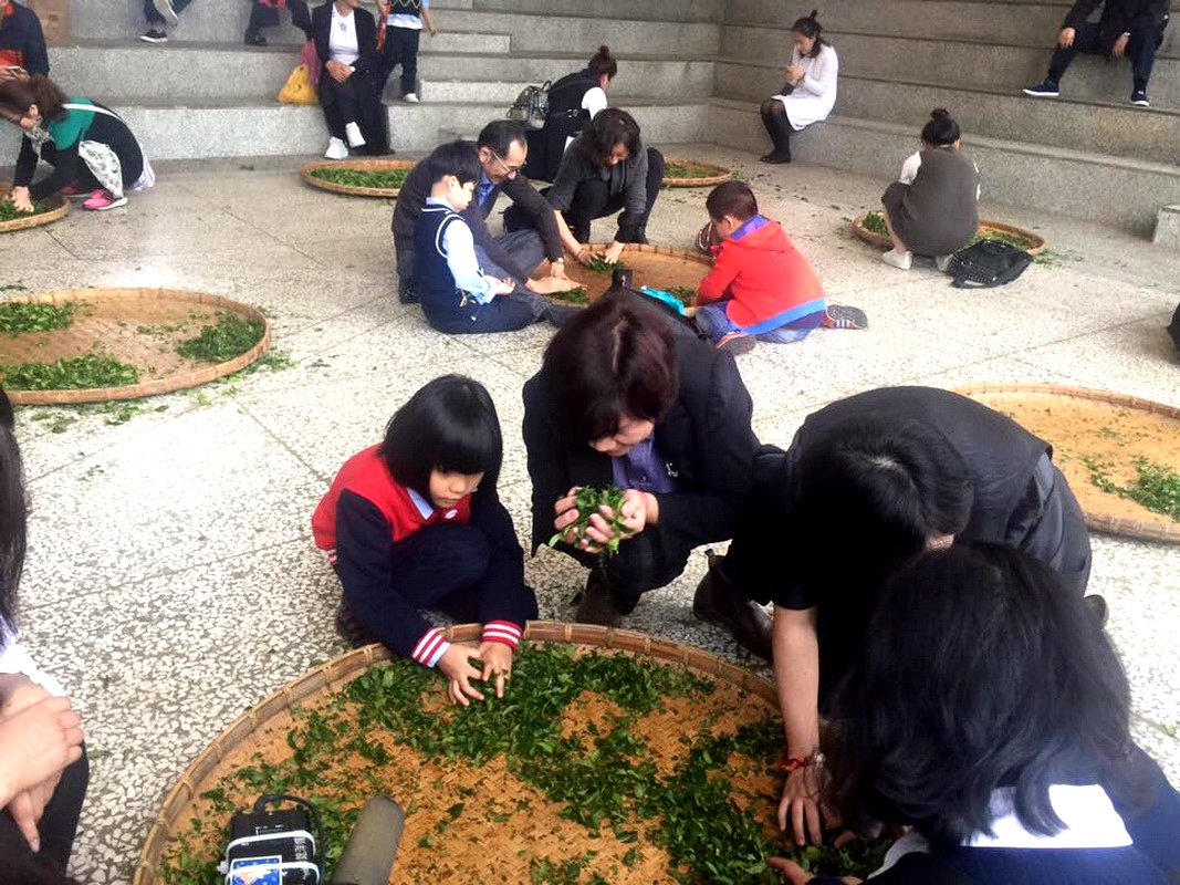 杭州幼兒園台灣畢旅　鹿谷國小茶藝交流