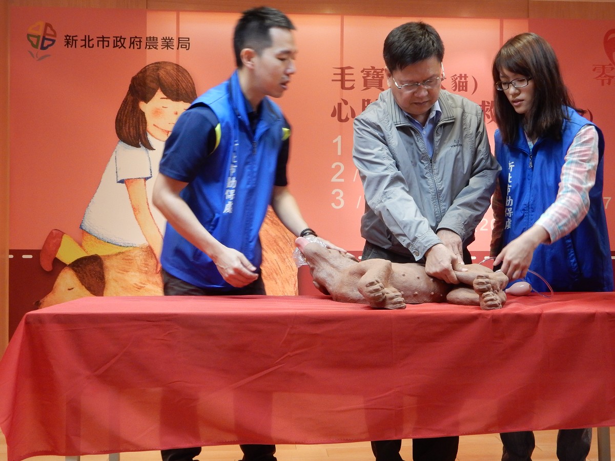 毛寶貝CPR急救術　新北動保處：示範影片可上網截取