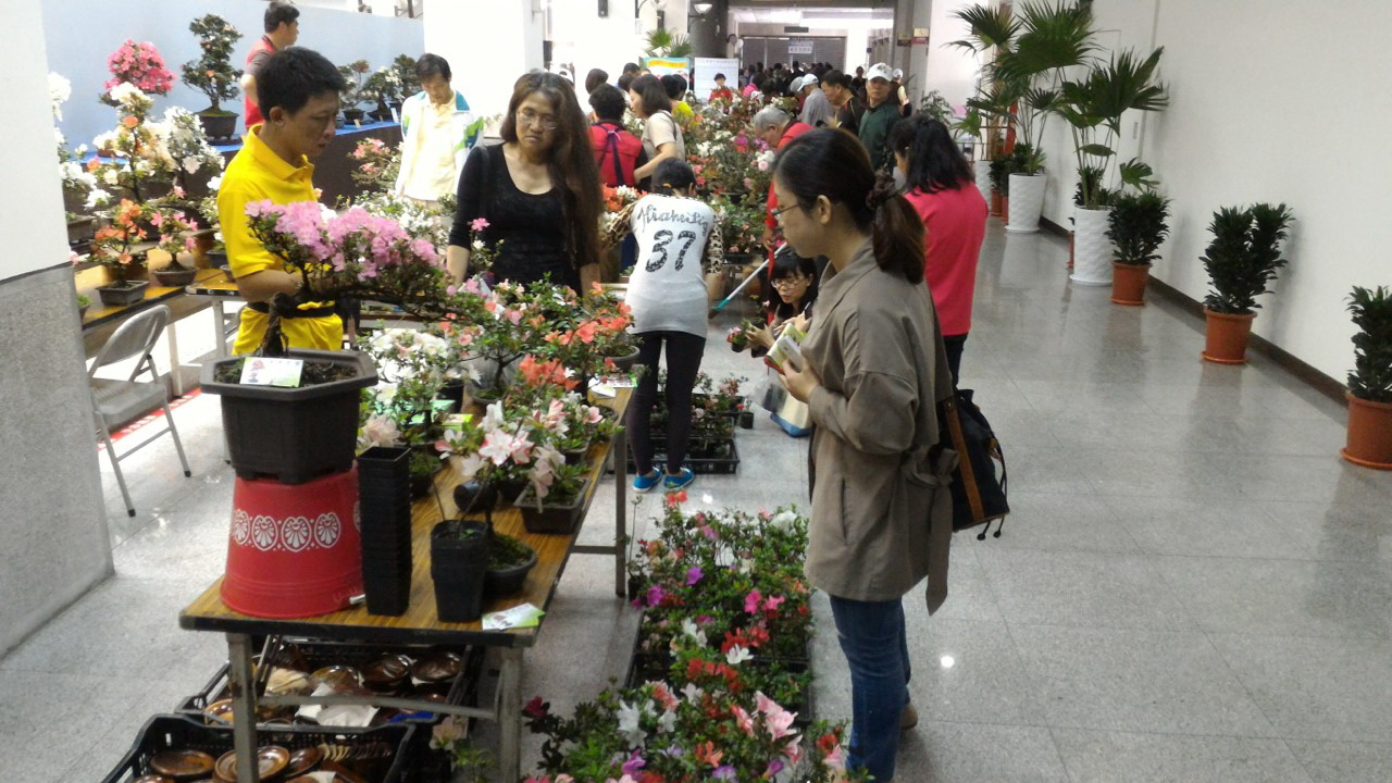 為台中世界花博暖身　皐月杜鵑花季展開幕