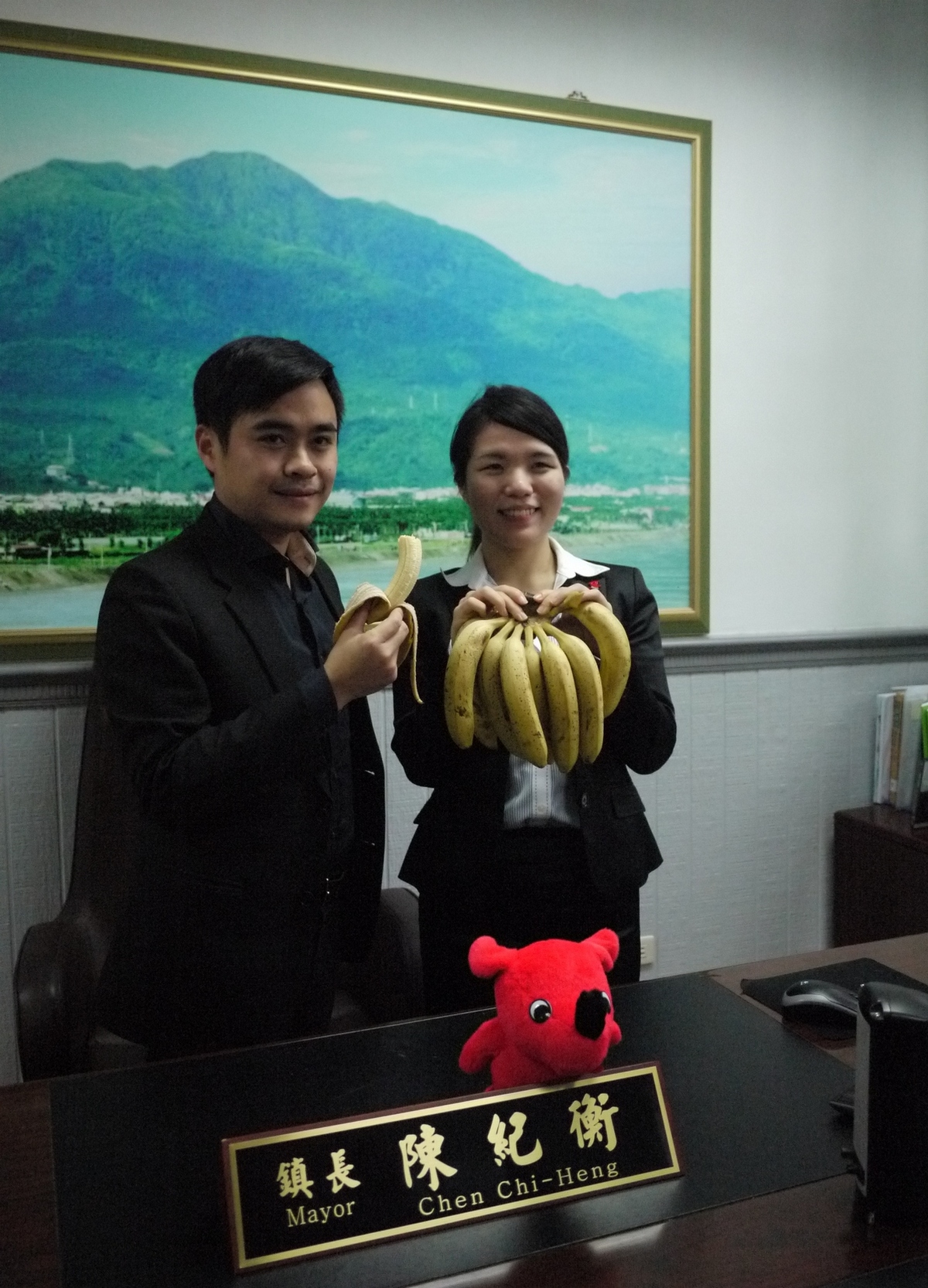 集集山蕉夯進日本　將於佐倉市「綠之祭」活動中展售