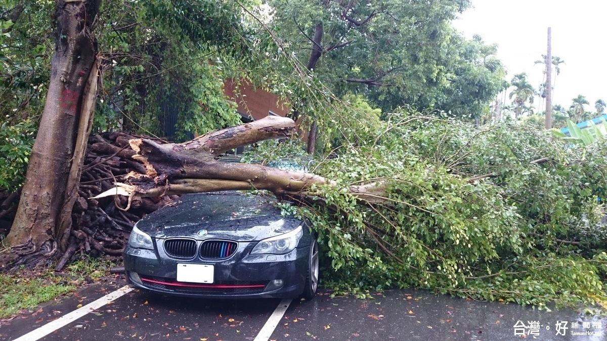 路樹倒伏，壓毀路邊停靠車輛。