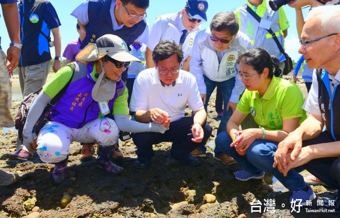 右起環保署督察總隊長蕭清郎、立委陳賴素美、環保局長沈志修、市長鄭文燦關切藻礁復育情形。