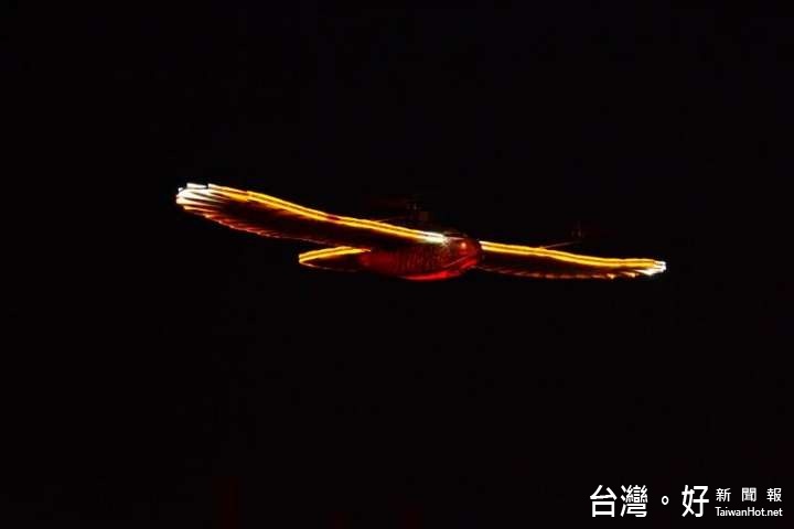 飛翔於國際龍舟錦標賽現場的神秘嘉賓「灰面鷲鷹」。(圖/彰化縣政府提供)