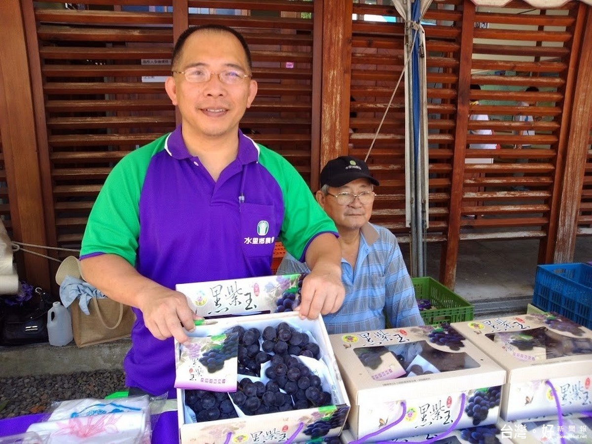 水里鄉農會促銷推廣的葡萄品牌-「黑紫玉」，不但品質佳、口感更是一級棒。〈記者吳素珍攝〉