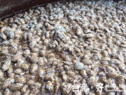 圖說:嘉大醬油製程大突破,低鹽高溫條件發酵10天 胺基態氮達甲級醬油標準。(圖1為傳統醬醪,圖2為本系統醬醪)