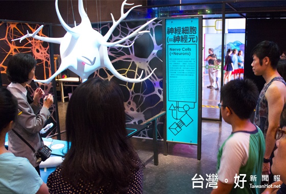 透過導覽員深度介紹,以深入淺出的方式,傳達淺入深出的概念。(記者林怡滿攝)