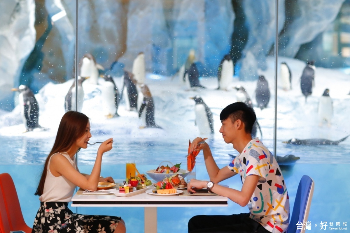 一隻隻可愛企鵝陪同用餐,是澳門企鵝酒店最不容錯過的特殊體驗。(圖/喜鴻假期提供)