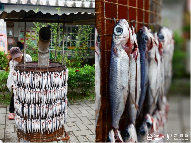 在上岸後教練帶大家去探訪東澳的「飛魚季」，到這個時候大家才知道，原來不只蘭嶼有飛魚，東澳也有飛魚。（圖／取自洛基小聿媽部落格）