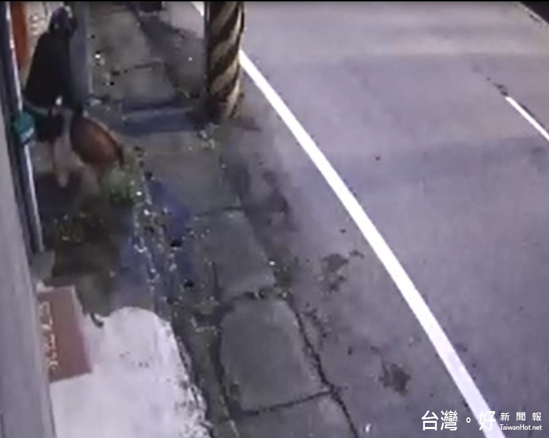 警方查獲黃姓女嫌,現場並起獲失竊的蓮花盆栽。