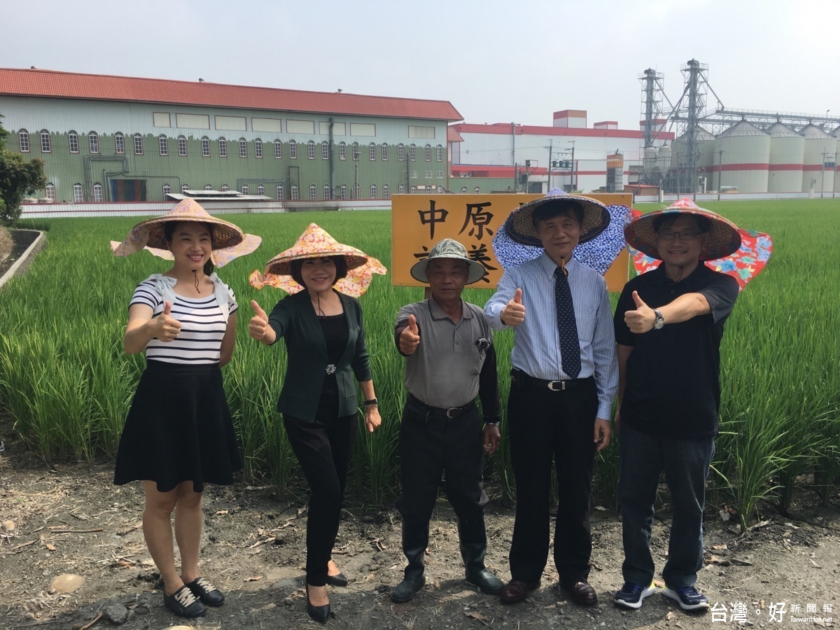 中原大學認養一畝田做公益,期盼振興稻農產業。