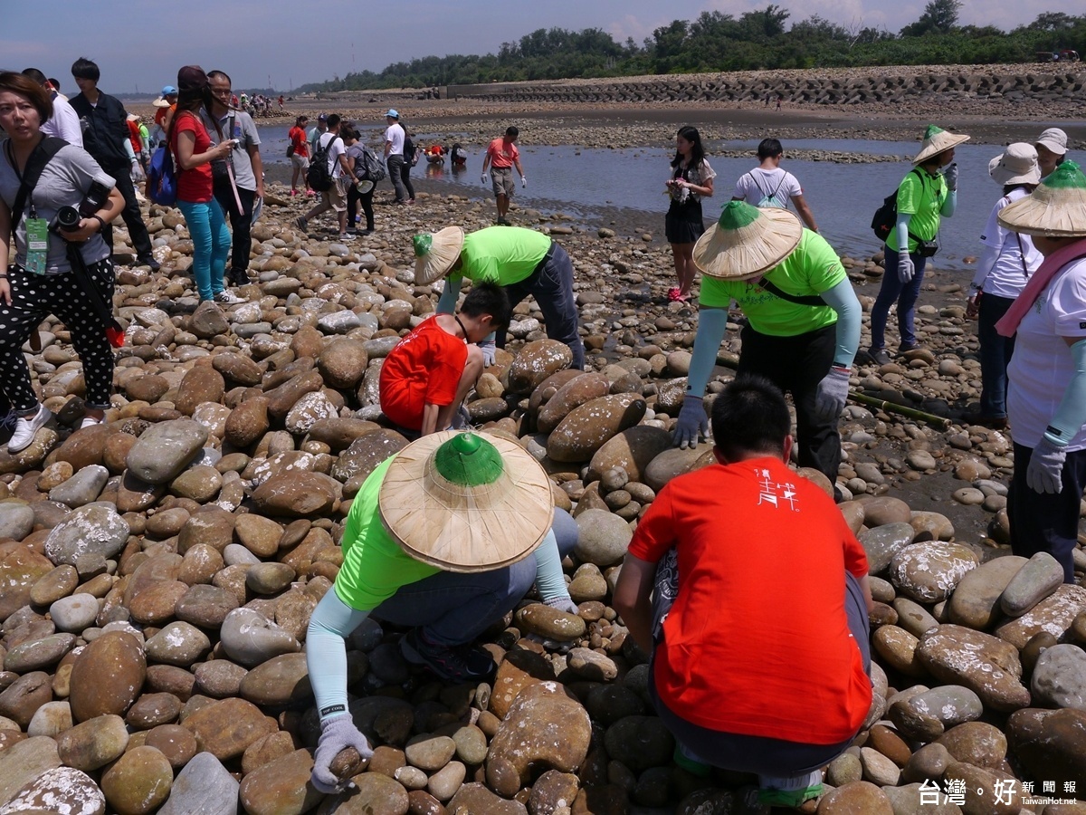 桃園地景之一,一同體驗石滬修築「千人築石滬」見證歷史,民眾完成最後階段