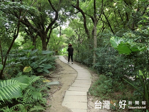 科博館植物園場域內木棧道兩旁又多出兩道裸露的土道，直接影響園區內的地被植物生長。（記者賴淑禎攝）