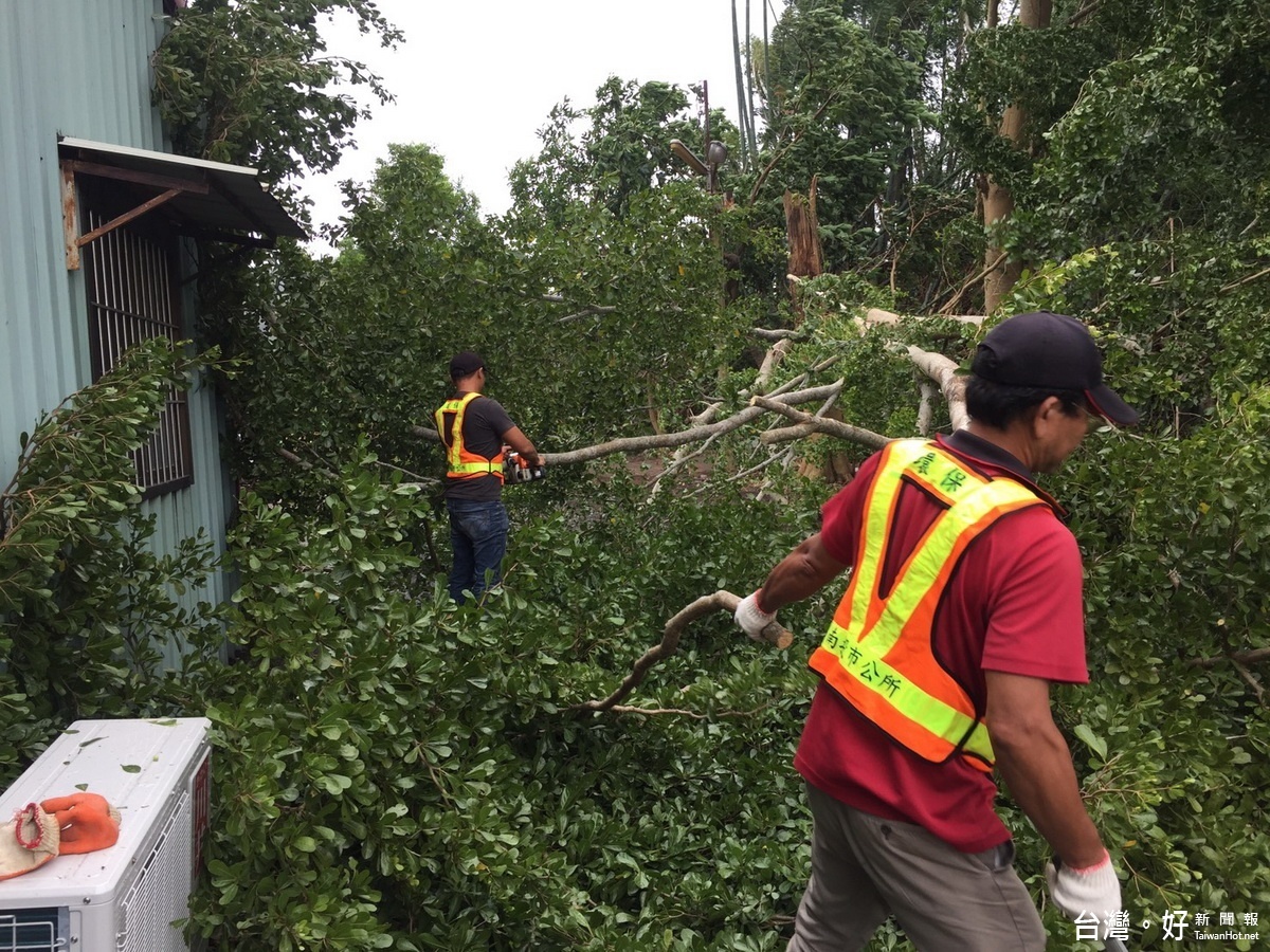 南投市路樹倒伏甚多，市公所已請環保局洽集集鎮協助破碎處理。