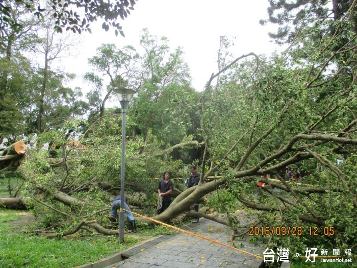 楊勝評局長表示,「梅姬」颱風侵襲,造成道路及步道倒樹影響交通,水源地受損及環境滿是樹枝落葉。