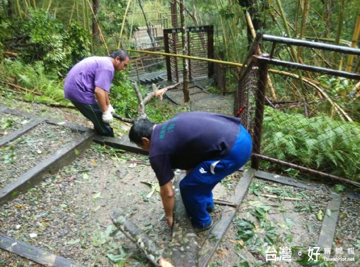 楊勝評局長表示,「梅姬」颱風侵襲,造成道路及步道倒樹影響交通,水源地受損及環境滿是樹枝落葉。