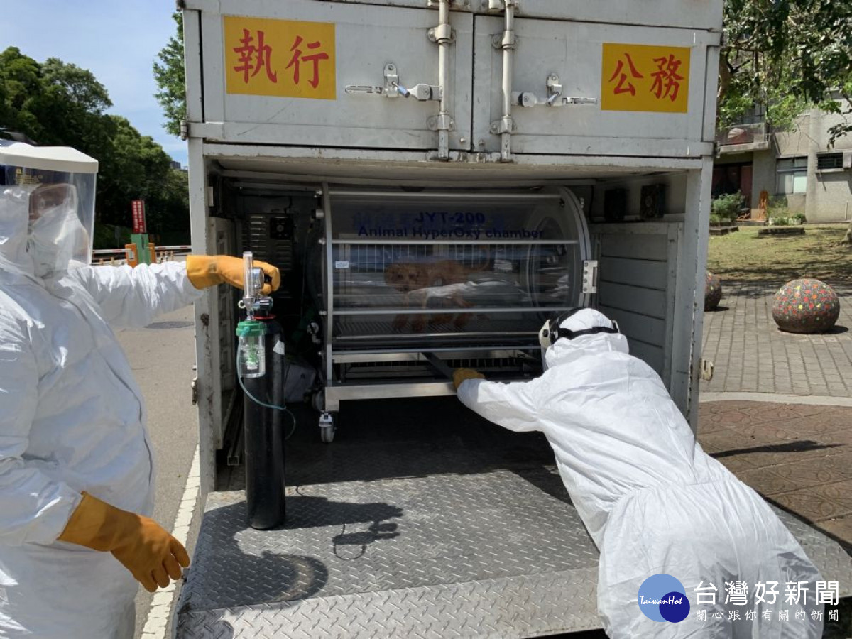 桃園市積極解決遊蕩動物問題，動物管制業務績效獲肯定