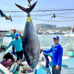 2022黑鮪魚季第一鮪確認　4/10熱鬧拍賣