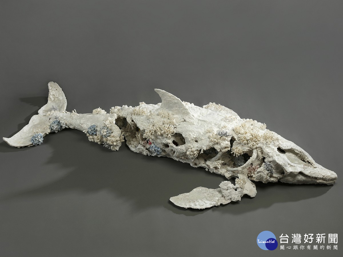 創作獎首獎得主王裔婷《隕落中的重生化石—熱帶斑海豚》，表現生態與人為迫害的深刻體悟