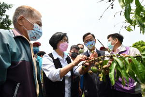 彰化縣長王惠美與埔心鄉農會總幹事張旗聞等人關心芒果受損情形。圖／彰化縣政府提供