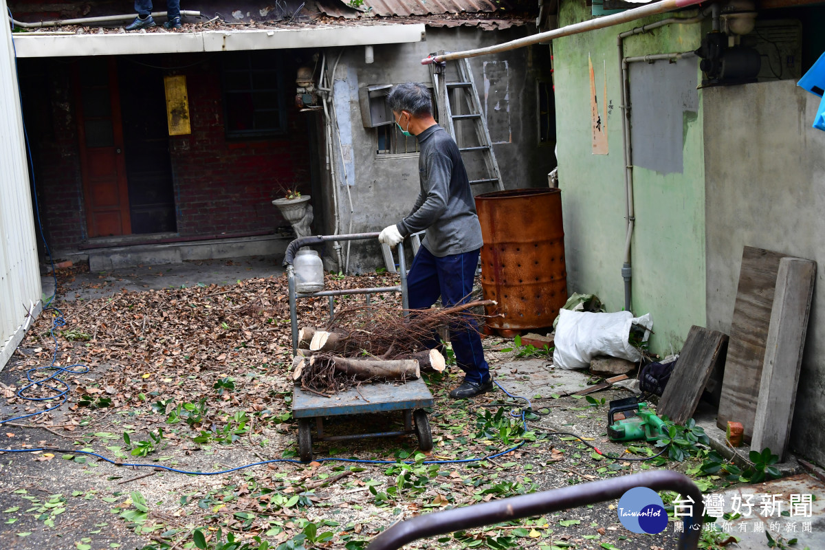 鹿港志工齊力為民宅鋸大樹，讓獨居住家得見天日。圖／慈濟提供