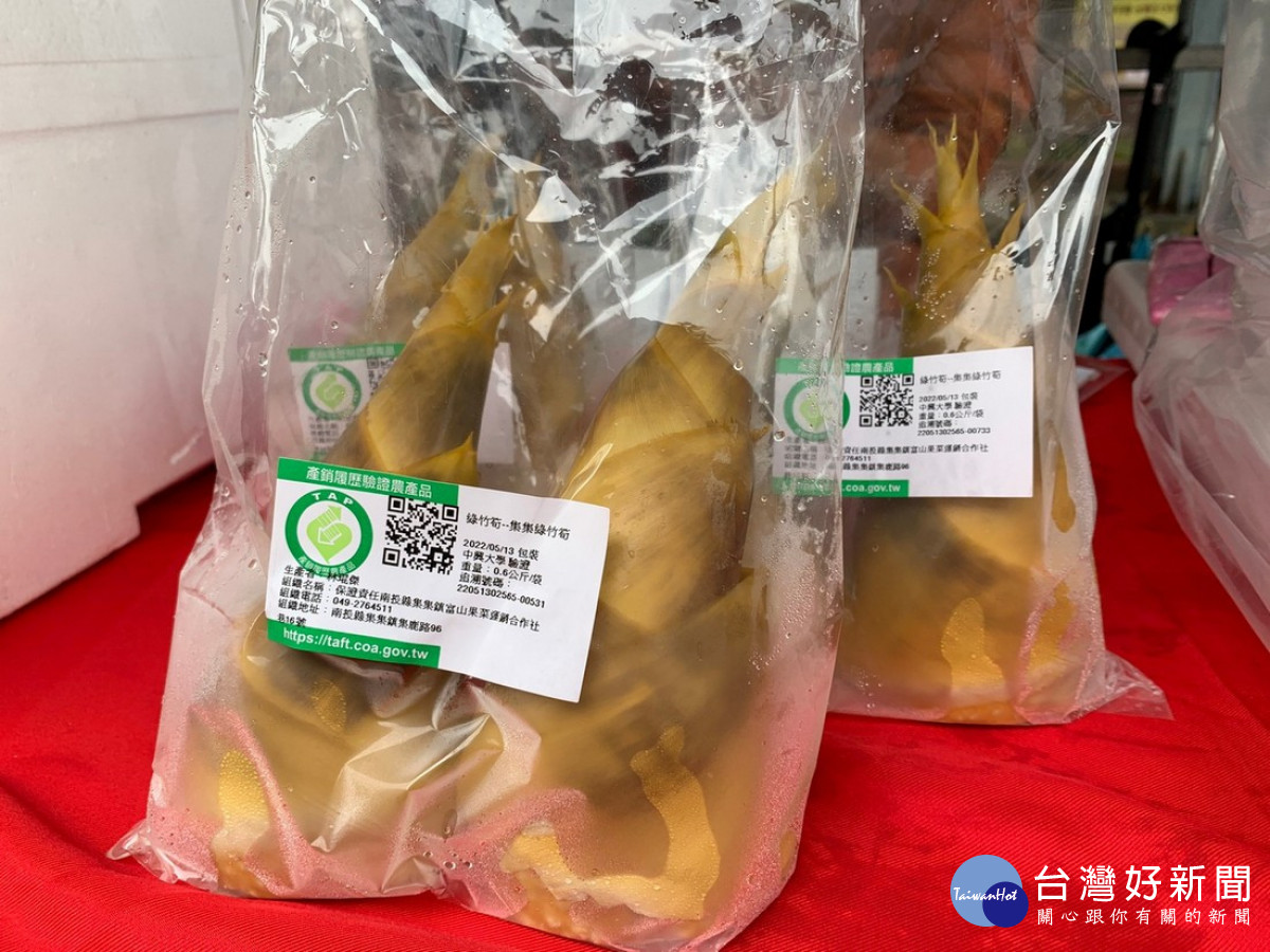 綠竹筍為集集近年新興作物，它是餐桌上的好食材。