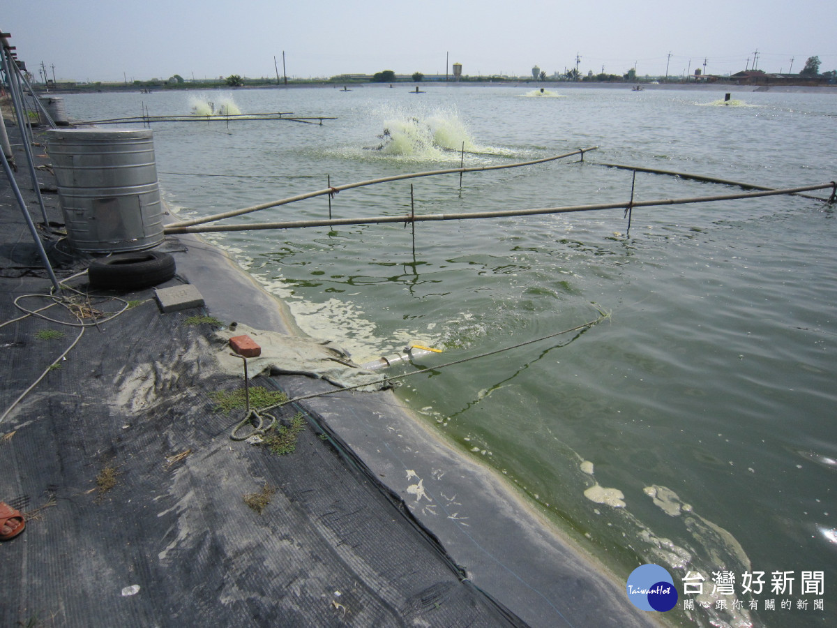 室外魚塭設置循環水養殖系統