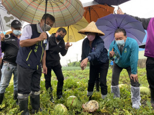 彰化縣長王惠美連日馬不停蹄，與民代趕往災損鄉鎮勘查，關心農民作物受損情形。圖／彰化縣政府提供