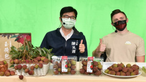 ▲陳其邁化身大樹區鳳梨 荔枝代言人，呼籲民眾欲購要從速。