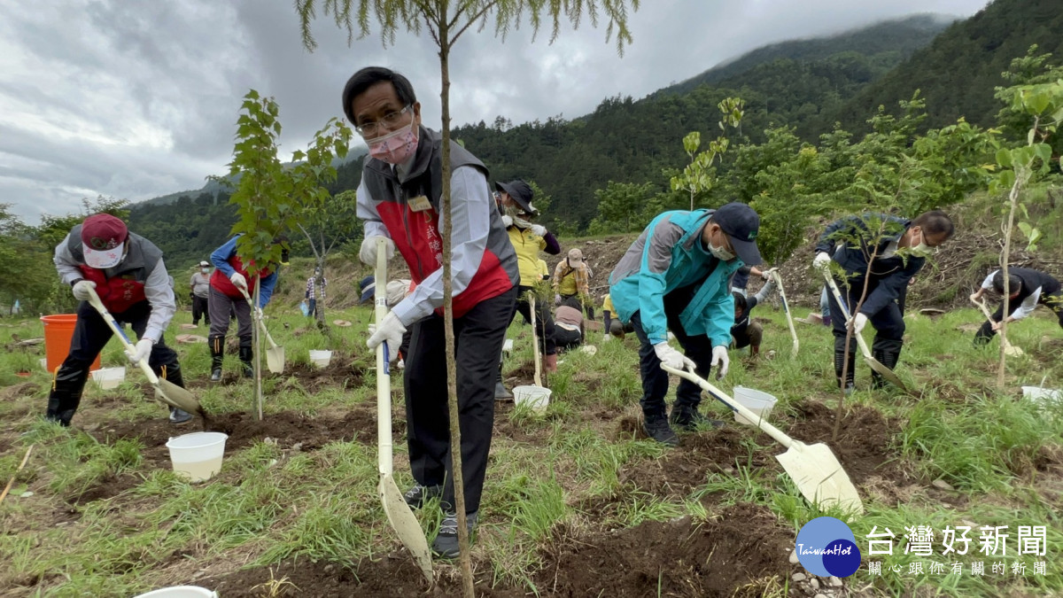 武陵農場提供廢耕地11.27公頃，由慈心基金會團隊進行植樹造林。