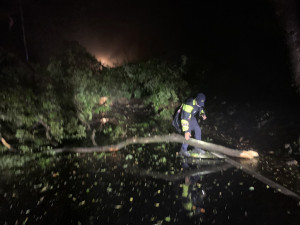 連日豪雨土石鬆動路樹倒塌，龍潭警交管及排除道路障礙。