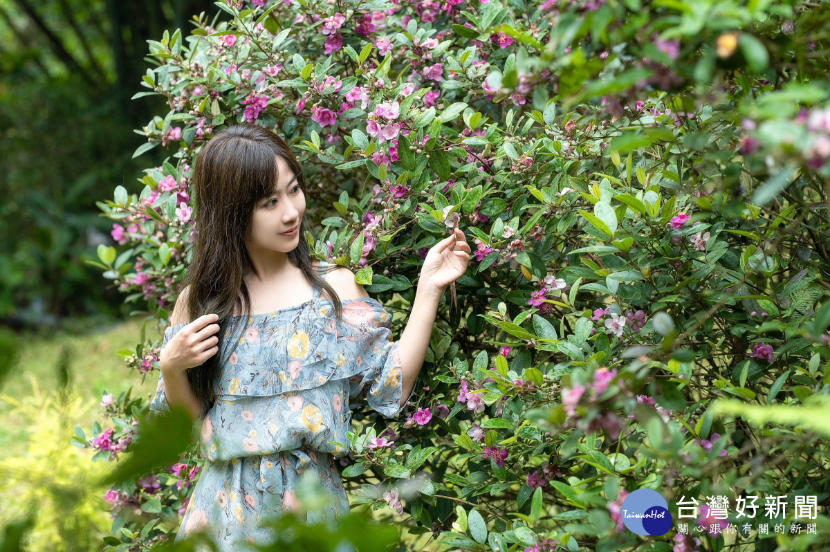 2022夏日桃金孃節 端午假期登場     女神降臨 幸福殿堂