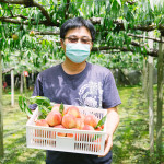 位於台中的「桃之鄉觀光果園」以網室栽種，降低50%以上用藥，吃得更放心。