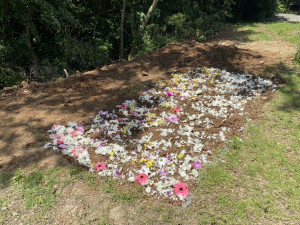楊梅區公所與桃園仁愛之家聯合舉辦樹葬。