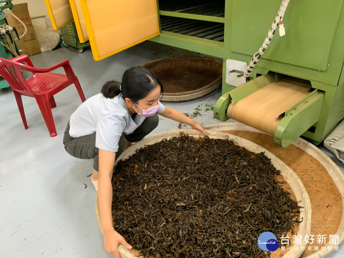 茶憶復興茶覺身心        端午好茶邀您品茗