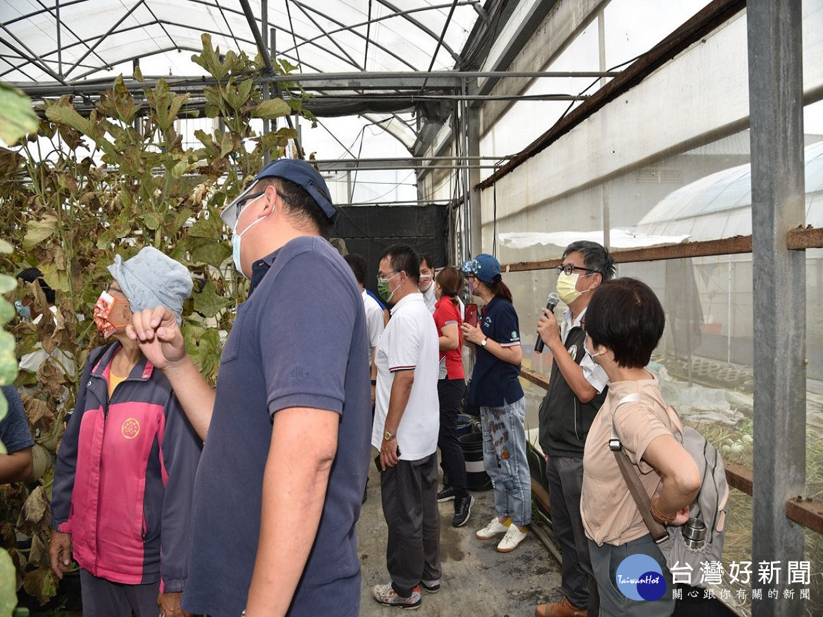 解決進口泥炭價格日益高漲　農改埸羽毛與廢菇包催生洋香瓜專用本土供肥介質