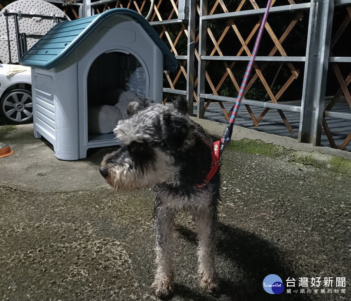 和平分局谷關派出所協助飼主尋獲失蹤1天的愛犬「無敵」。