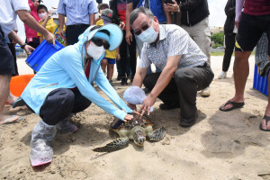 響應世界海龜日　賴峰偉野放11隻傷癒海龜