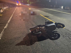 南市學甲區25日晚間發生車禍事件，流浪犬突然衝出，機車騎士閃避不及，摔車頭部重創昏迷。(翻攝照片)