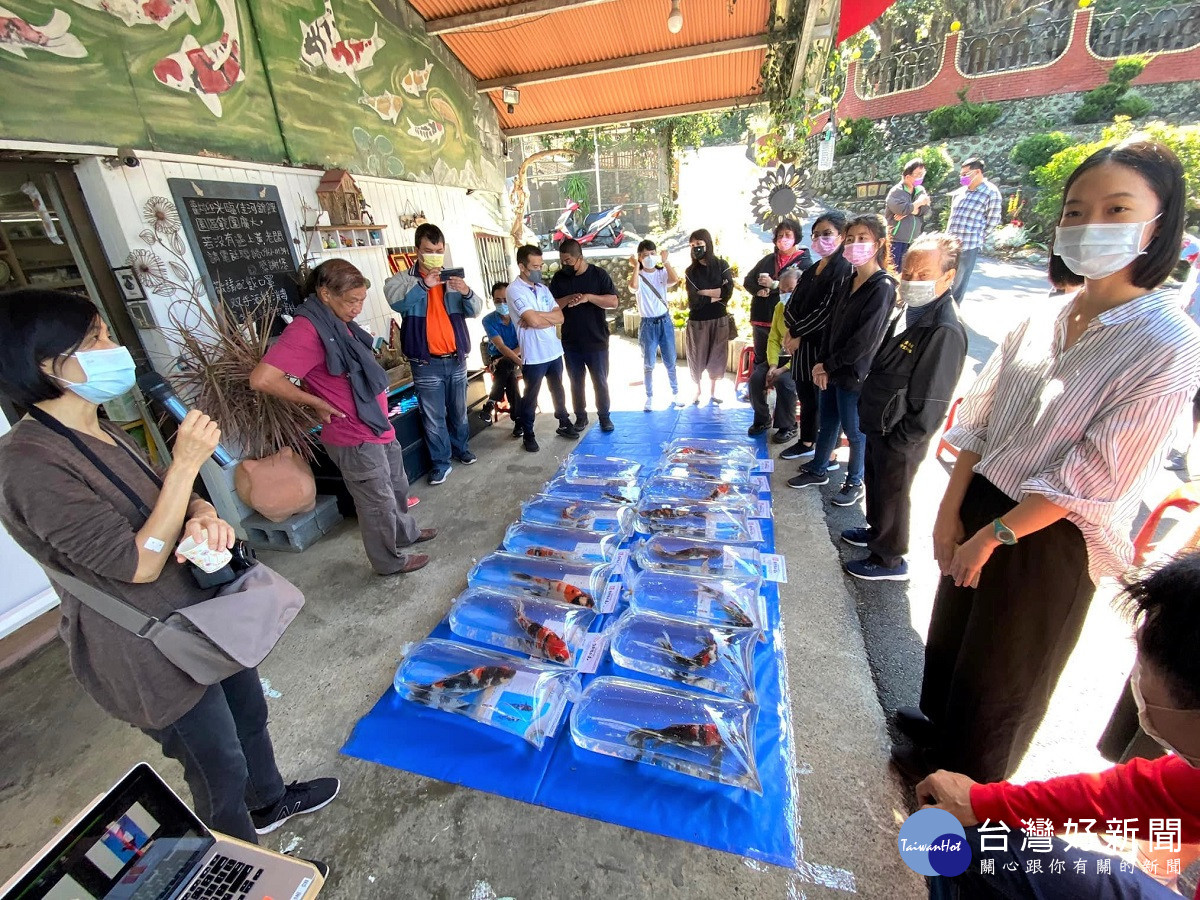 龍潭的佳河錦鯉園是「龍鳳錦鯉」發源地，今年與中原商設合作開發文創商品。