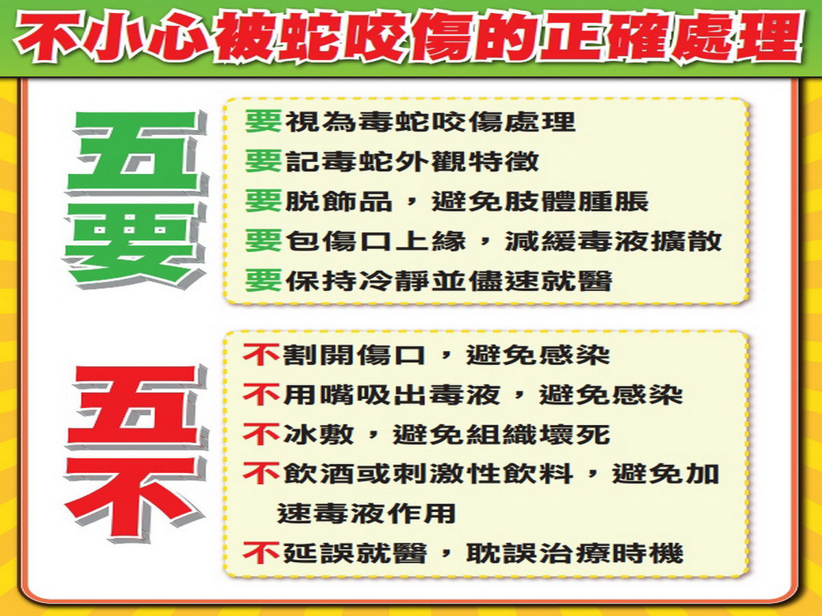 農業局提出不幸被蛇咬傷「五要、五不」的正確處理步驟。