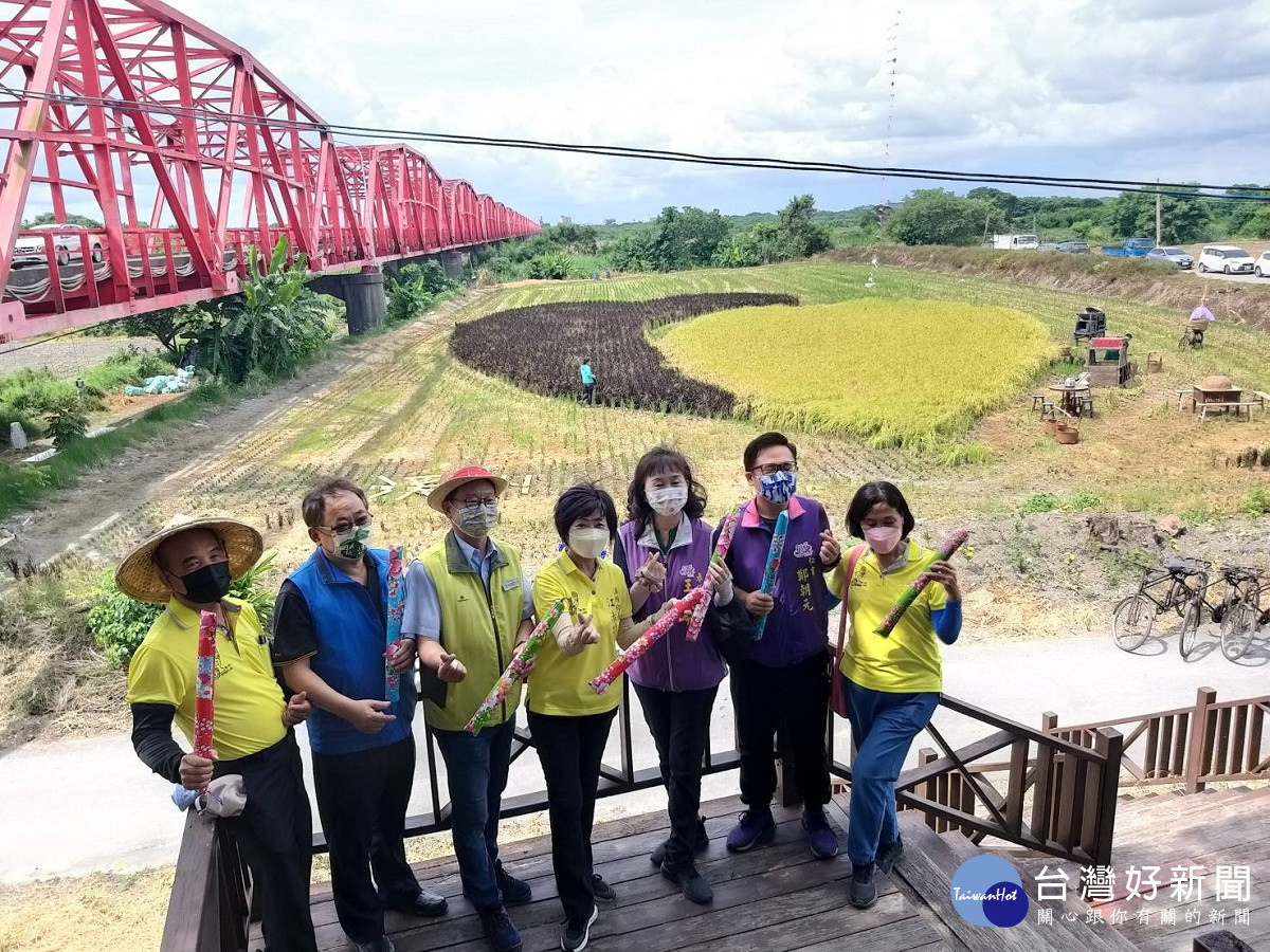 溪州鄉農村新體驗-割稻趣　號召民眾手工割稻採綠豆體驗傳統農村生活