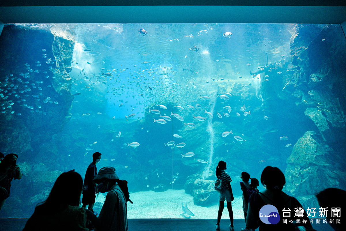 A18高鐵桃園站附近景點透出時尚華麗風潮：八景島水族館。