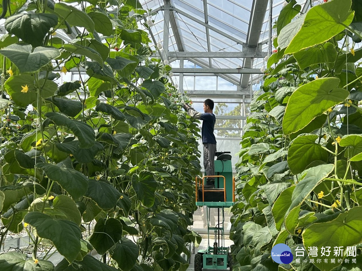 中區農改場綠研創二甲子　展出園藝作物經典與最新研發成果