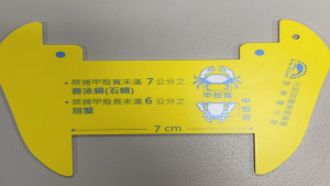▲實施規定船捕撈之蟳蟹類甲殼寬(長)限制，除旭蟹維持未滿六公分外，其餘蟳蟹皆增加一公分。（圖／記者 許高祥 翻攝）