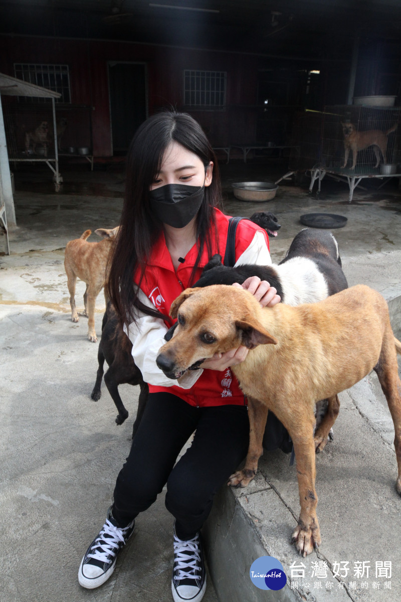 褚小姐成立「台灣流浪貓狗關懷協會」，透過合法勸募替狗場找資源，能夠給浪浪更好環境。(讀者提供)